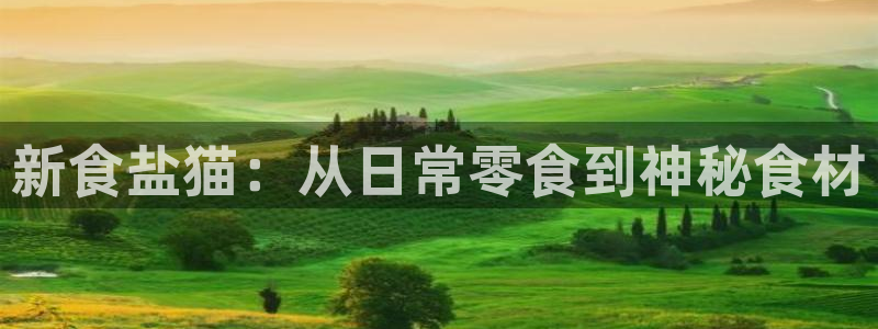 威九国际网站