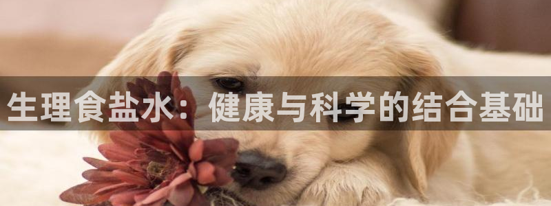 78m.ppt威九国际官网版