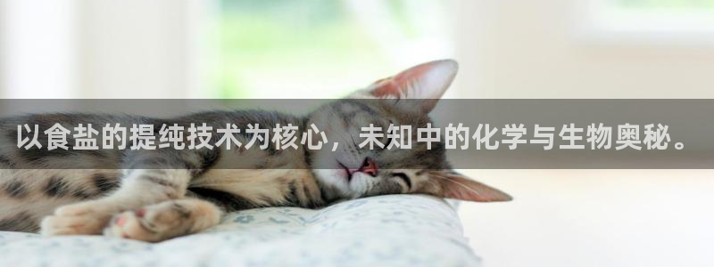 威九国际网站入口官网游戏推荐