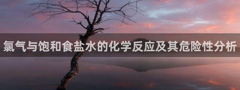 威九国际app