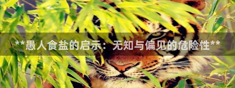 威九国际66m66