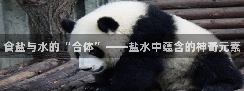 威九国际的金融服务有哪些