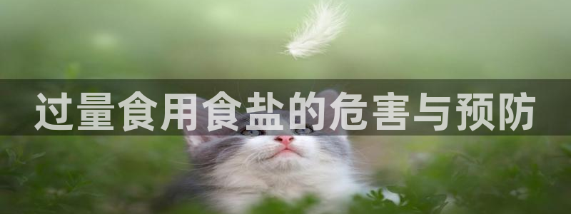 威九国际app网站安全吗