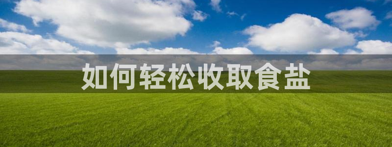 威九国际fX8x