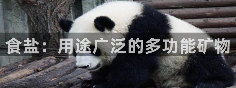 威九国际Sxsx
