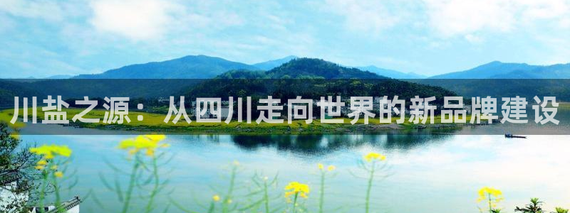威九国际app