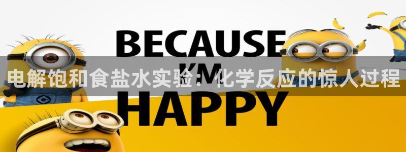 威九国际免费网络站