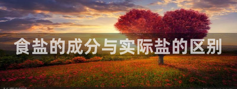 威九国际ppt免费