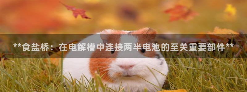威九国际可以提现吗是真的吗