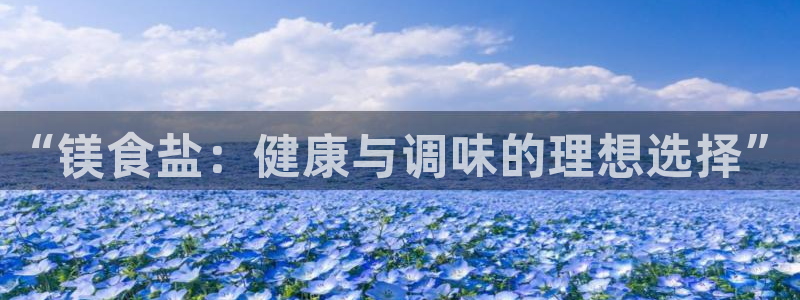 威九国际女孩