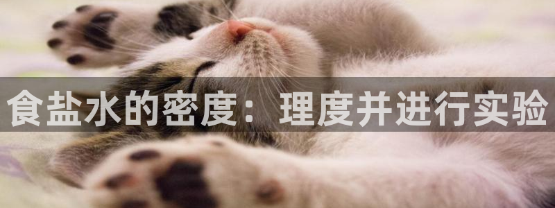 威九国际精彩推荐怎么样