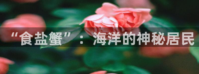 威九国际网站更新了吗