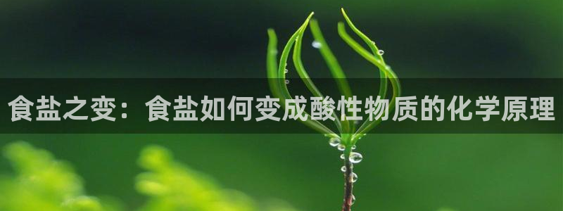 威九国际网站入口官网免费