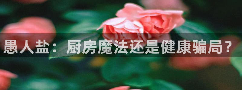 78mapp威九国际人民网