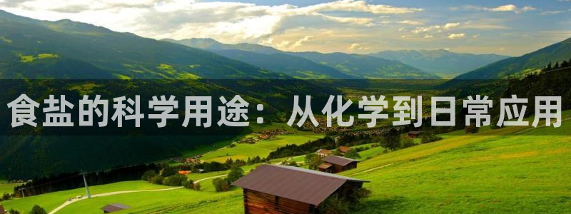 威九国际演员名单