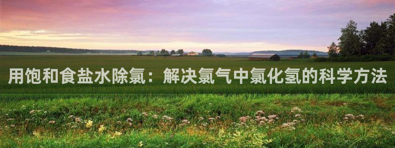 威九国际app网站