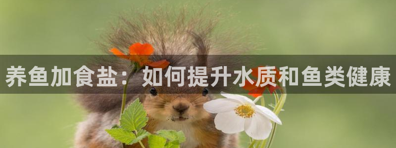 威九国际父亲的友人