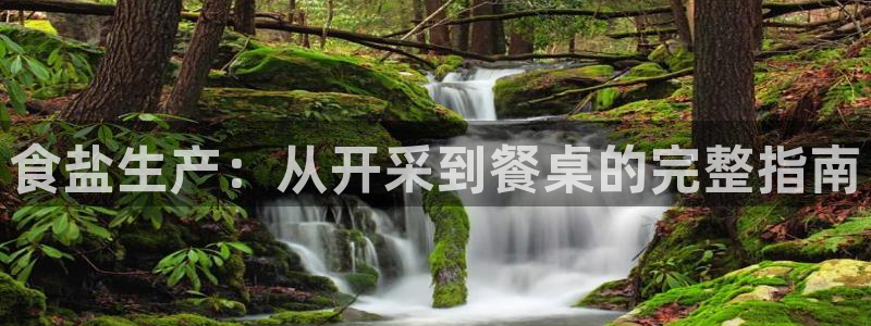 威九国际安全吗的认证团队