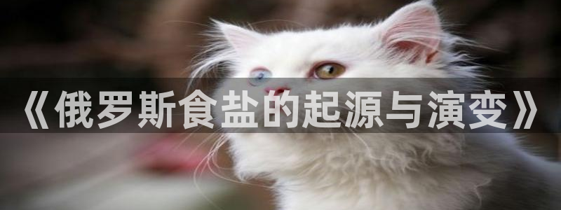 威九国际网站入口地址