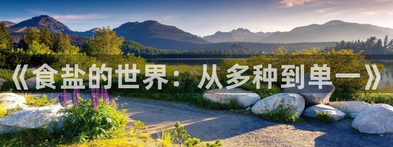 威九国际网站更新：《食盐的世界：从多种到单一》