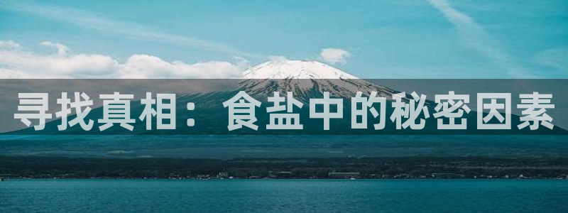 保定威九网络科技有限公司招聘