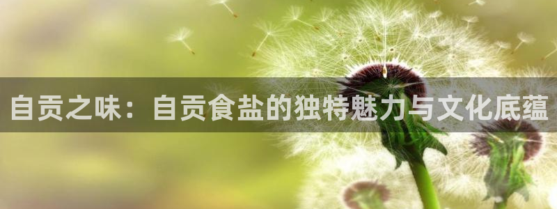 78mapp威九国际官网