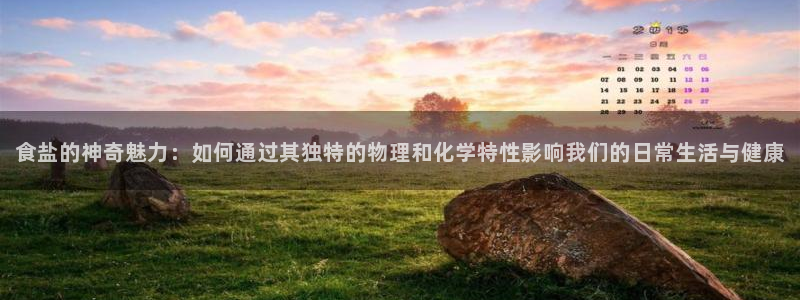 78mapp威九国际媒体央视