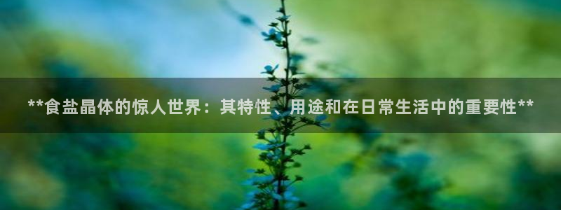 威九国际fX8x