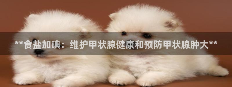 威九国际app客服电话