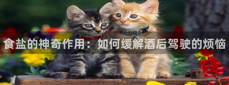 66m成长模式视频威九国际视频