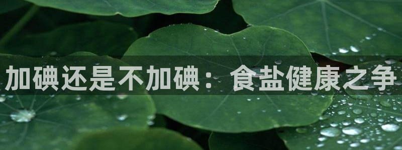 威九国际66m免费下载