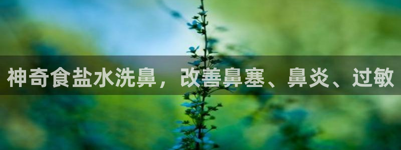 威九国际MM