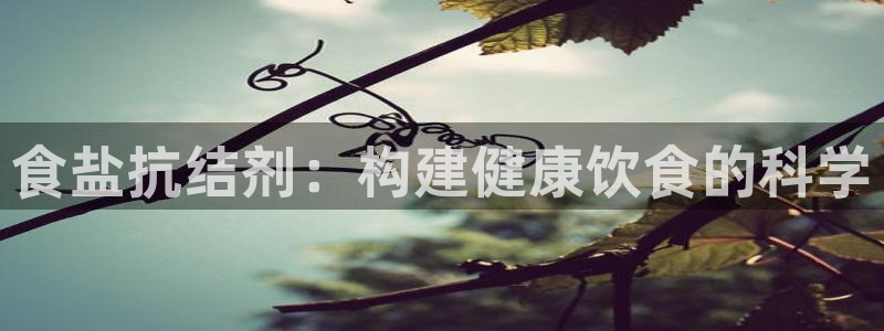 66m威九国际精选