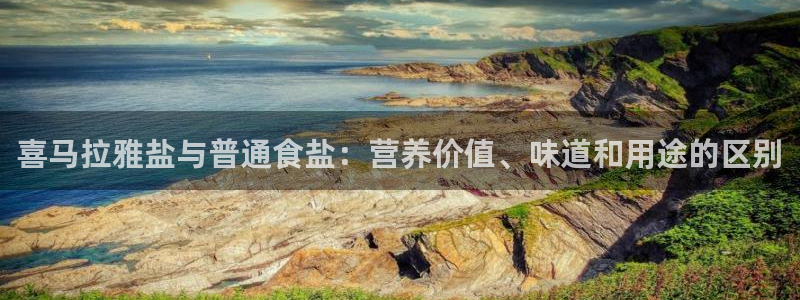 威九国际app网站官网